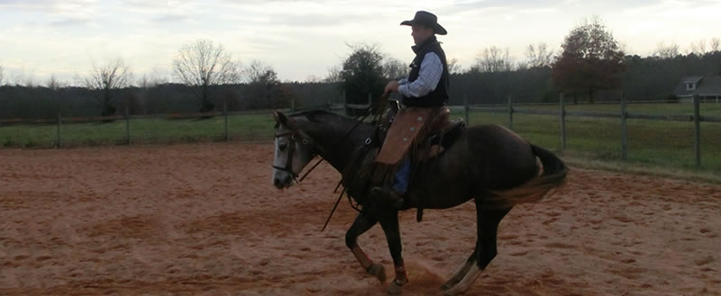 How Does Your Horse Move? Part 2 | Dan Burle Horsemanship Co